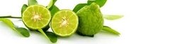 Aceite Esencial De Bergamota 15 Ml - Saiku Natural 
