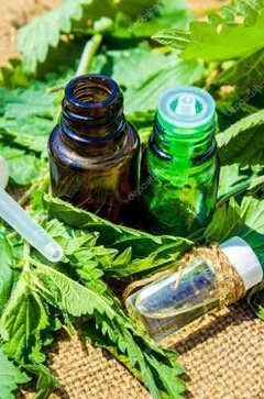 Aceite Esencial De Ortiga Envase De 15 Ml en internet