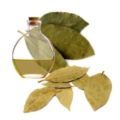 Aceite Esencial De Laurel Noble Envase 15 Ml - comprar online