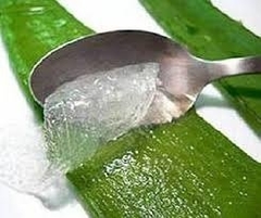 Gel De Aloe Vera Puro 100% 1k