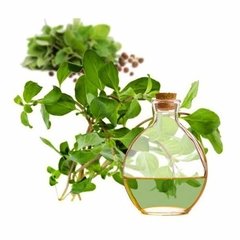 Esencial Puro De Mejorana (Origanum Majorana) en internet