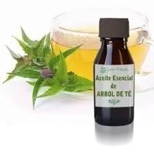 Aceite Esencial De Hojas De Te Verde Puro Envase De 15 Ml - comprar online