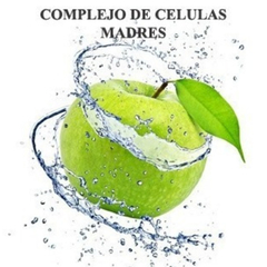 Complejo De Células Madres Karité Hialurónico Cacao 50gr