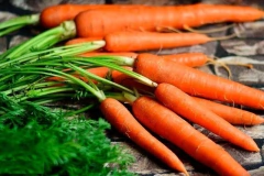 Aceite De Zanahorias 125ml Puro Villa Urquiza!!! Materia Prima en CABA Villa Urquiza Envíos a Todo el País en internet