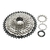 Piñon Sunshine-SZ 11 Velocidades 11-42T MTB Bicycle Cassette HG Hub - comprar online