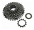Piñon MTB Shimano HG-200 Altus 8v 12-32 - comprar online