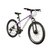 Bicicleta Bipokids R24 Disco 21v Nena en internet