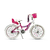 Bicicleta Raleigh Jazzi Rodado 20 Aluminio Nena