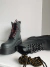 CORDONES - comprar online