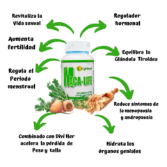 Divi-her + Maca Life Lifehuni - comprar online