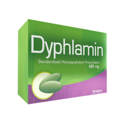 Dyphlamin Harpagophytum 480mg X 30 Cápsulas
