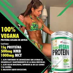 Nutra Vegan Proteina Vegana 400gr 16 Servicios - comprar online
