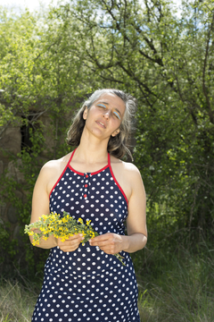 Vestido Faustina en internet