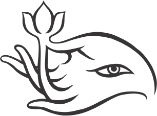  Tierra Pura | Biocosmética Terapéutica