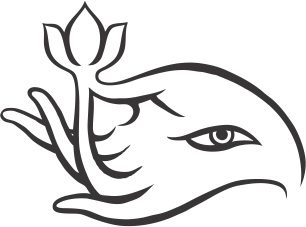  Tierra Pura | Biocosmética Terapéutica