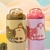 Botella capybara termica 500ml - comprar online