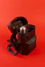 Image of Mochila Noah Hombre