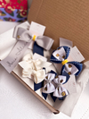 kit Escolar (Lato Sensu) - comprar online