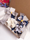 kit Escolar (Lato Sensu) - comprar online