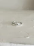 Anillo Galaxy