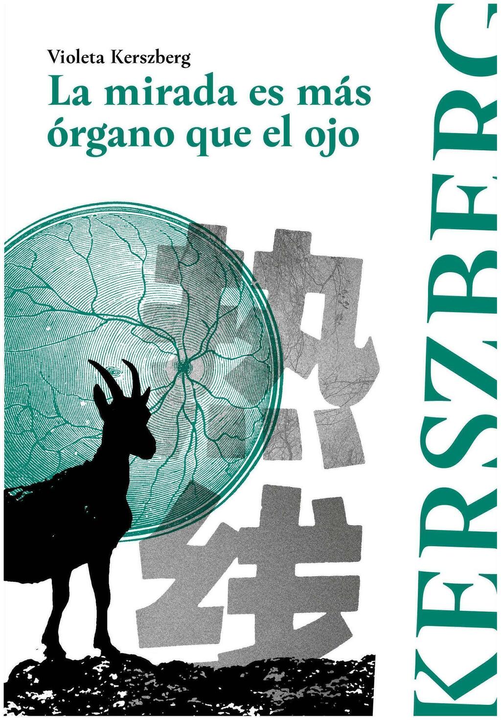 LA MIRADA ES MAS ORGANO QUE EL OJO - VIOLETA KERSZBERG - ALQUMIA