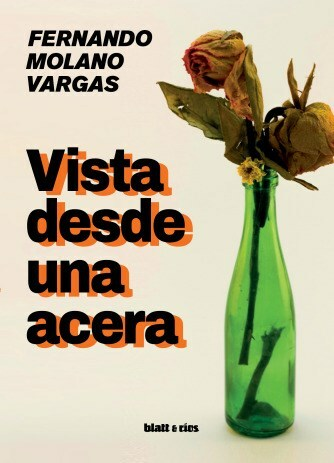 VISTA DESDE UNA ACERA - FERNANDO MOLANO VARGAS - BLATT & RIOS