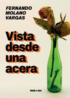 VISTA DESDE UNA ACERA - FERNANDO MOLANO VARGAS - BLATT & RIOS