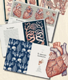 ANATOMICUM - KATY WIEDEMANN / JENNIFER PAXTON - OCEANO TRAVESIA - comprar online