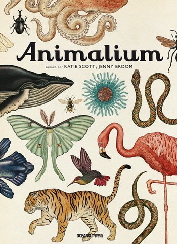 ANIMALIUM - Katie Scott y Jenny Broom - OCEANO TRAVESIA