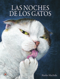 LAS NOCHES DE LOS GATOS - Naoko Machida / Naoko Machida - AKAL