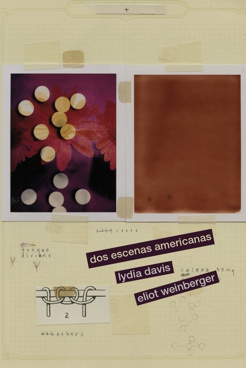 DOS ESCENAS AMERICANAS - LYDIA DAVIS / ELIOT WEINBERGER - ZINDO Y GAFURI