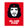 El Che Vive (con lenticular) - Gustavo Álvarez Núñez Y Dr. Alderete - Pequeño Editor - comprar online