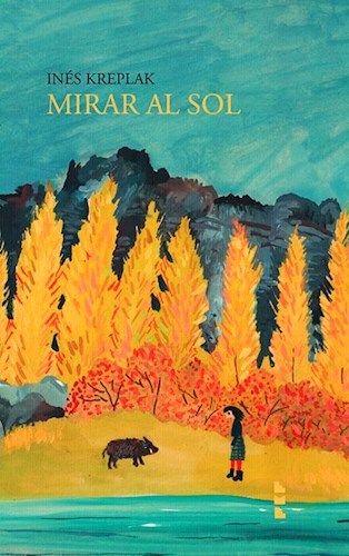 MIRAR AL SOL - INES KREPLAK - ESTRUCTURA MENTAL A LAS ESTRELLAS