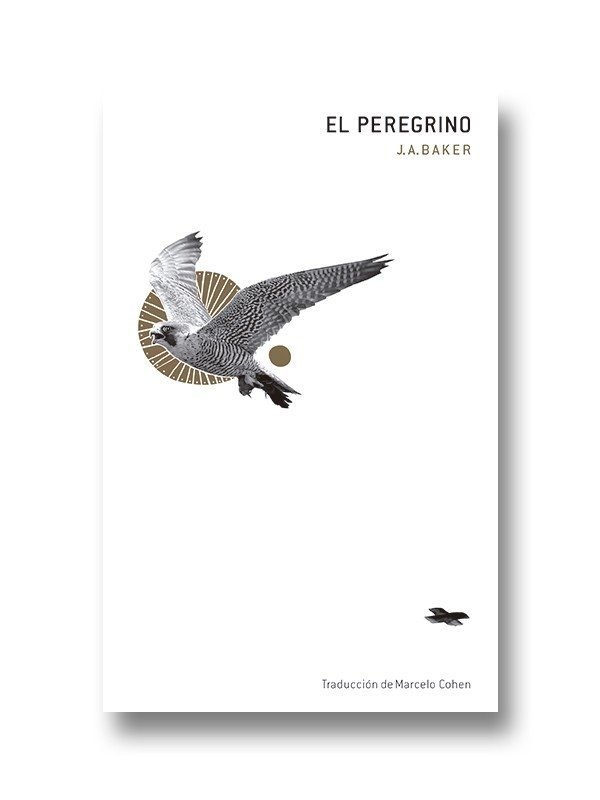 El peregrino - J. A. Baker - Sigilo