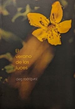 EL VERANO DE LAS LUCES - DIEG RODRIGUEZ