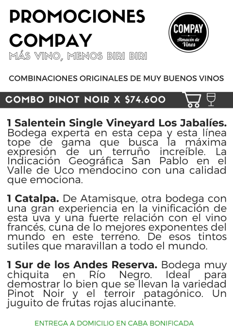 COMBO PINOT NOIR - comprar online