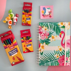 CUADERNO PARA COLOREAR