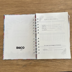 AGENDA AQUA DRAW en internet