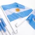 BANDERA ARGENTINA PARA AUTO 30X45CM MUNDIAL
