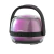 PARLANTE PORTATIL BLUETOOTH 5W + 2 MICROFONOS INALAMBRICOS SOUL PARTY TEEN XS20 - Florida Digital