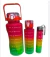 SET DE 3 BOTELLAS MOTIVACIONAL 2L / 900ML / 300ML LISAS Y DEGRADE - Florida Digital