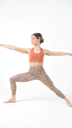 LEGGING BELA ZEBRA - comprar online
