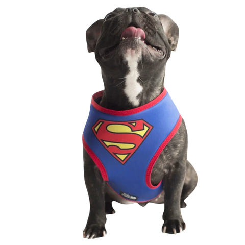 Arnés SUPERMAN