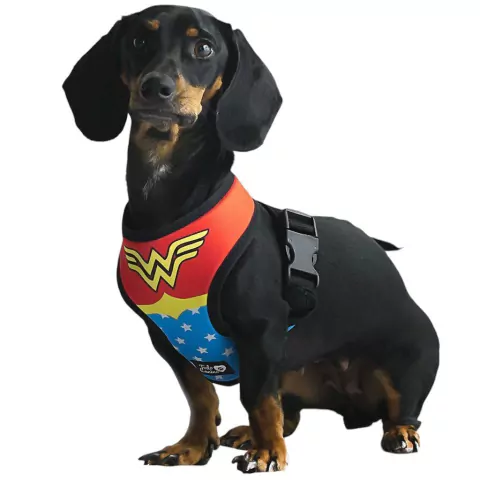 Arnés WONDER WOMAN