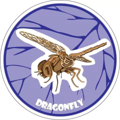 Bichos Para armar - tienda online