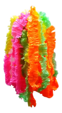 Collares fluor en internet