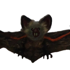 MURCIELAGO - comprar online