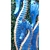 Trio de Cavalo Marinho Azul - Bali - comprar online