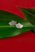Aritos de Plata 925 Amapola - comprar online