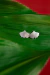 KIT PLATA 925 AMAPOLA - Taraytela
